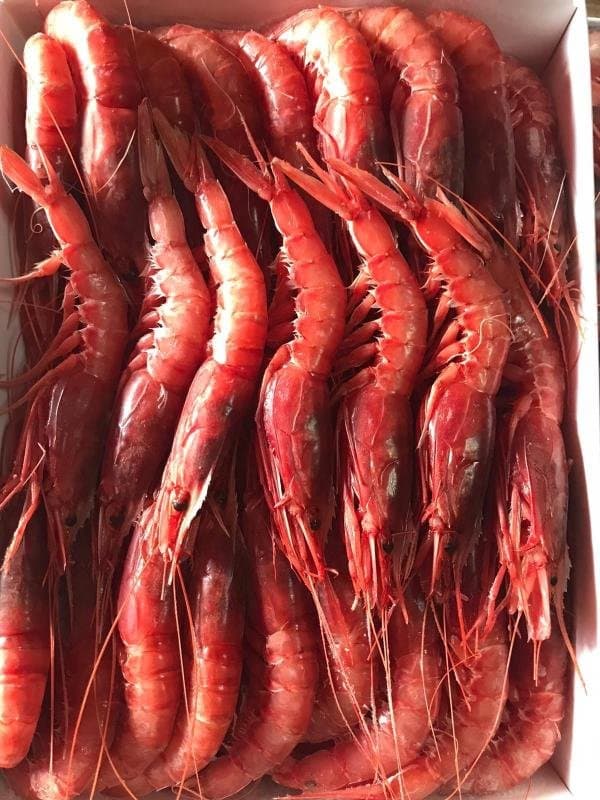 Gelo Sud Alimenti Surgelati - Immagine 2