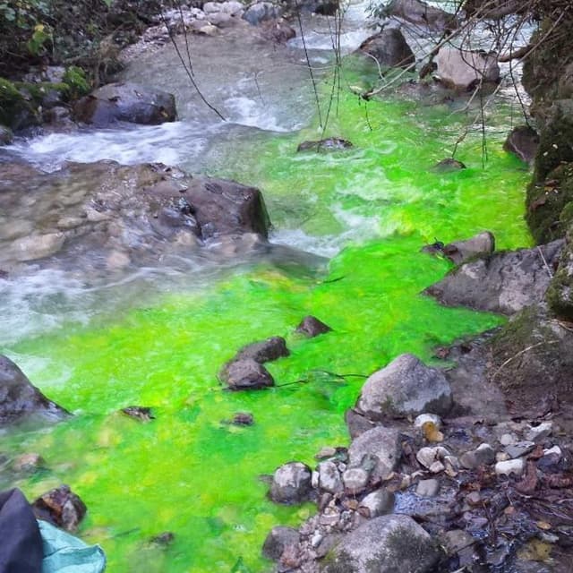 Geologo Luca dal Ri' - Immagine 2