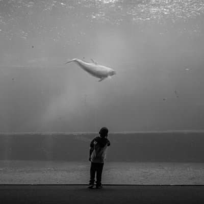 Giacomo De Caro Fotografo - Immagine 2