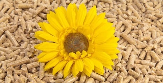 Girasole Caldaie - Immagine 2