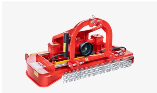 Giuseppe Sacchetto - Immagine 1