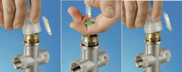 Gnali Bocia - Immagine 2