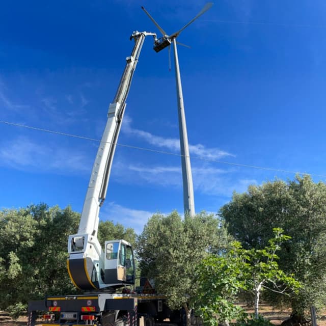 Gruppo Miccoli - Immagine 1