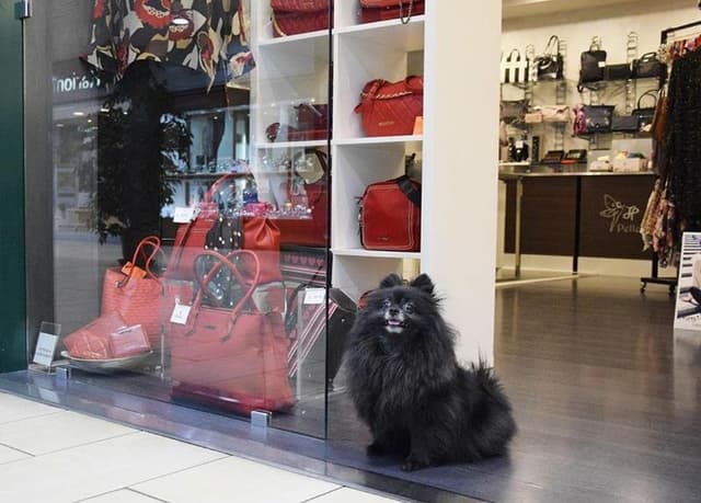 JP la Mia Boutique - Immagine 1