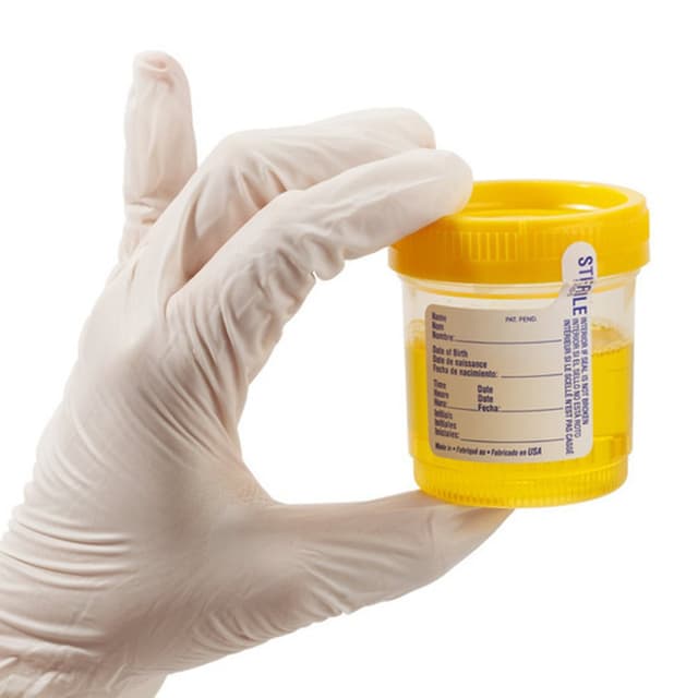 Laboratorio Analisi Cliniche Dott. Quaranta - Immagine 2