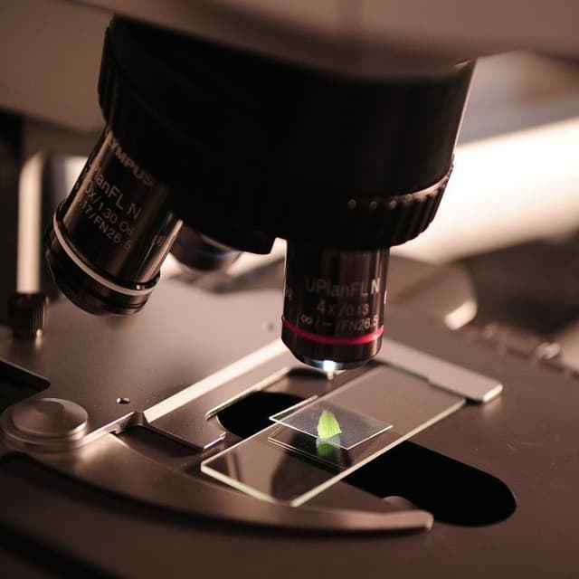 Laboratorio Analisi Cliniche San Giorgio - Immagine 1