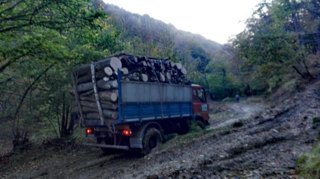 Legnami Bertalot di Bertalot Graziano - Immagine 1