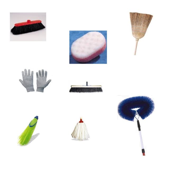 Linda Detersivi - Immagine 2