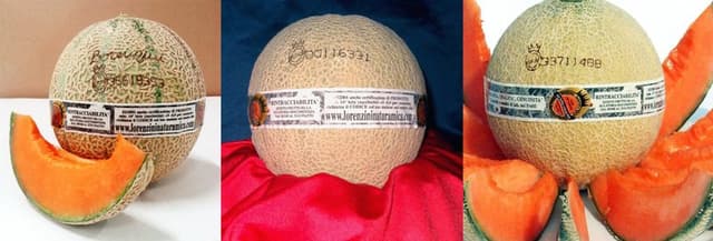 Lorenzini Società Agricola Naturamica - Immagine 1