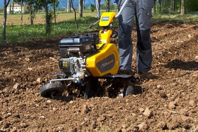 Mafor di Perri Maria Antonietta - Immagine 2