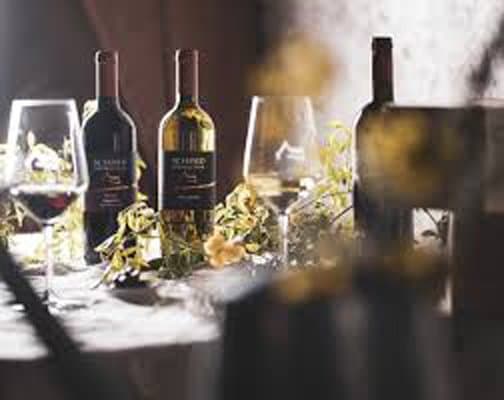 Manuela Tessaro Fotografin - Immagine 1