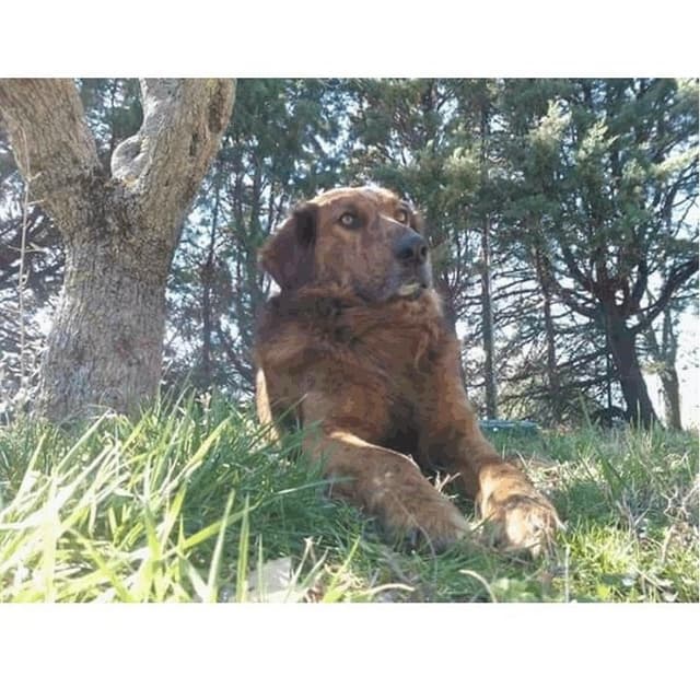 Mi Fido di Te - Immagine 2