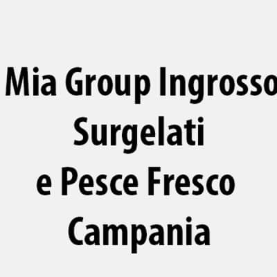 Mia Group Ingrosso Surgelati e Pesce Fresco Campania - Immagine 2