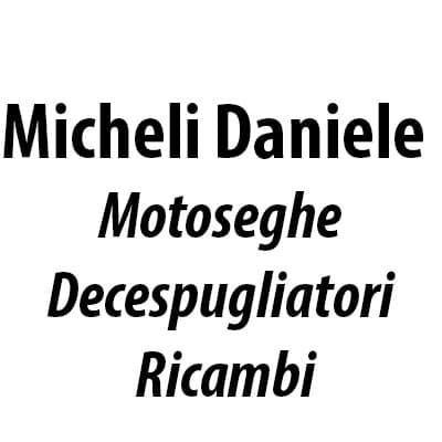 Micheli Daniele Motoseghe - Decespugliatori - Ricambi - Immagine 1