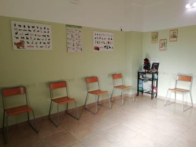 Minerba Dott.ssa Francesca Veterinario - Si Riceve Anche su Appuntamento - Immagine 1