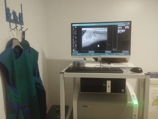 Minerba Dott.ssa Francesca Veterinario - Si Riceve Anche su Appuntamento - Immagine 2