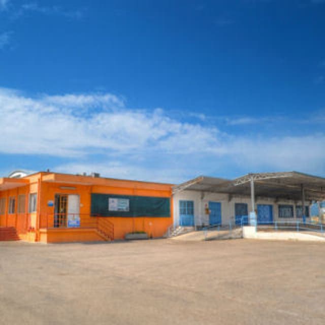 Oleificio Cooperativo della Riforma Fondiaria di Leverano - Immagine 1