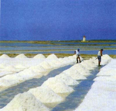 Parma Sale - Immagine 1