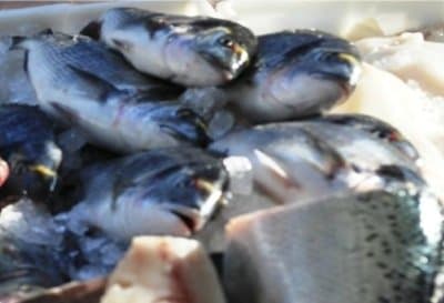 Pescheria Turla - Immagine 2