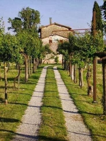 Pizzeria Mengrigi I Mengrigi Sas - Immagine 1