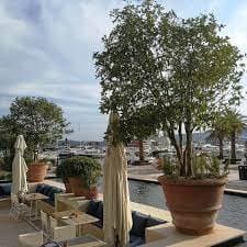 Poggi Ugo Terrecotte Artistiche - Immagine 1