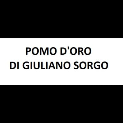 Pomo D'Oro di Giuliano Sorgo - Immagine 1