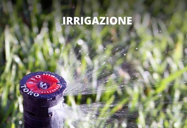 Pratoverde - Toro - Ditch Witch Italia - Immagine 2