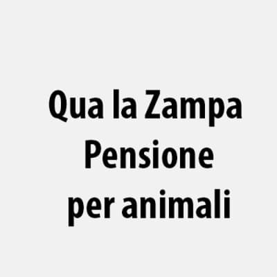 Qua la Zampa Pensione per animali - Immagine 1