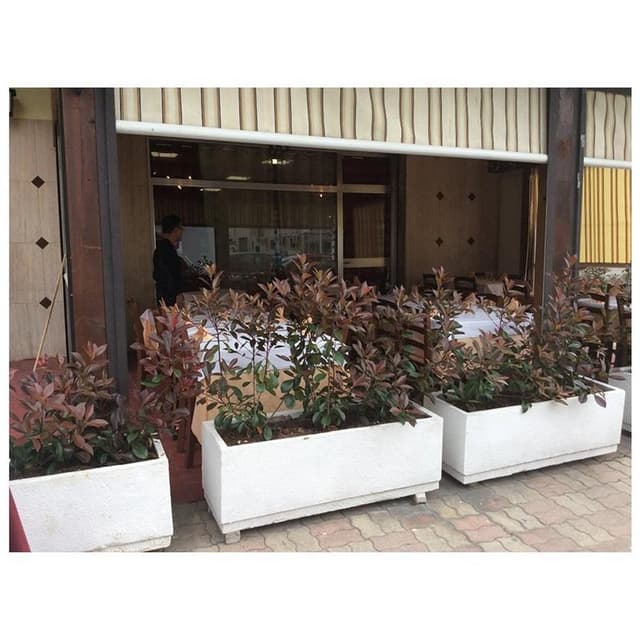 Ristorante Trattoria Bolsena - Immagine 2