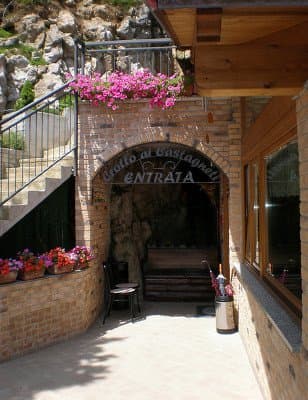 Ristorante Trattoria Crotto ai Castagneti - Immagine 2