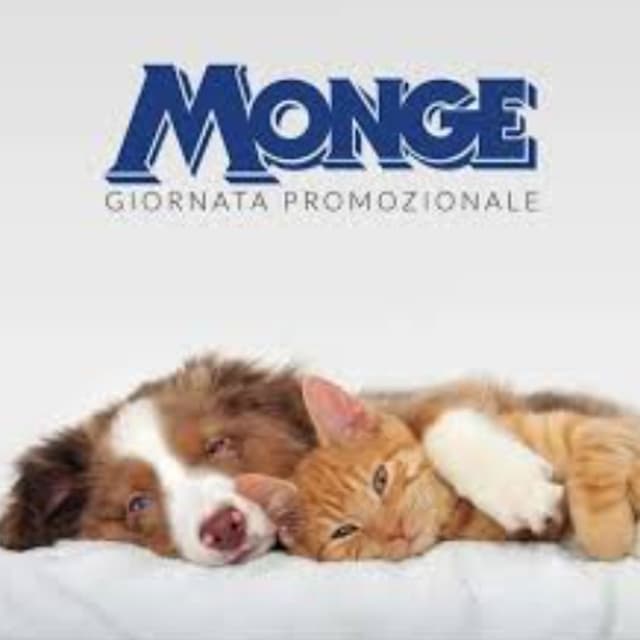 Scodinzoland - Immagine 1