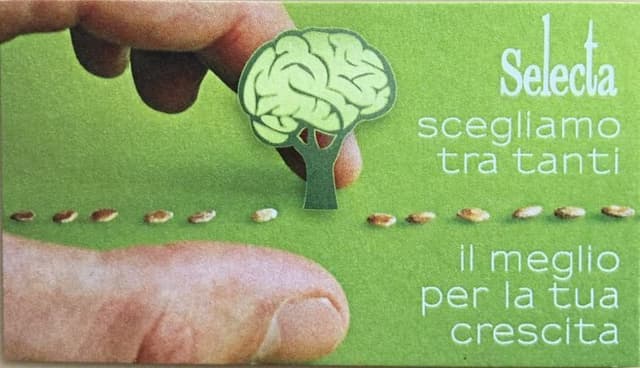 Selecta Sas - Immagine 1