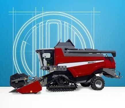 Viola Gomma - Immagine 1