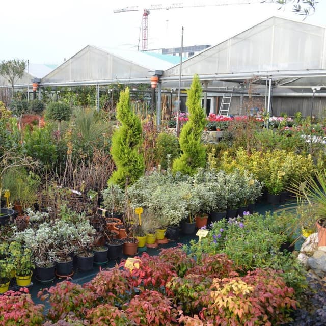 Vivaio Il Melograno - Immagine 1