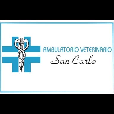 Ambulatorio Veterinario San Carlo