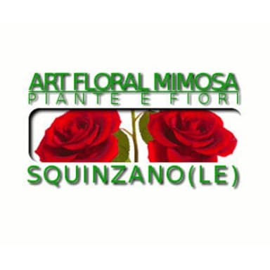 Art Floral Mimosa Piante e Fiori