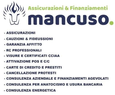 Assicurazioni & Finanziamenti Mancuso