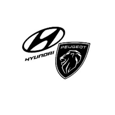 Autoclub Marche Service