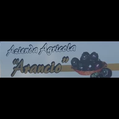 Azienda Agricola Arancio
