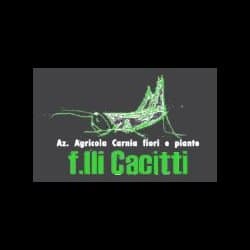 Azienda Agricola Carnia Fiori e Piante