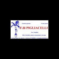Azienda Agricola Pigliacelli