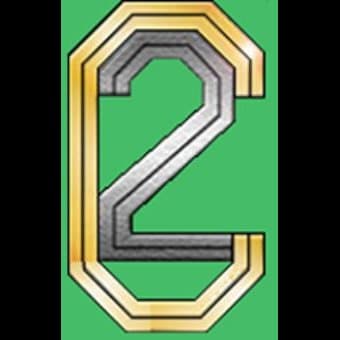 C 2