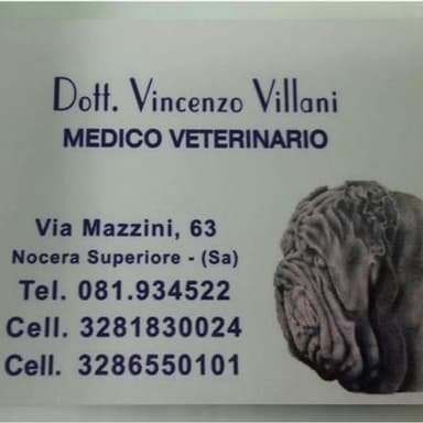 Centro Medico Veterinario Villani Dr. Vincenzo