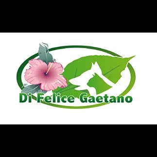 Di Felice Gaetano