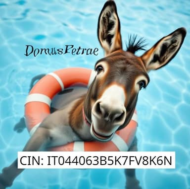 Domus Petrae - B&B e Appartamenti