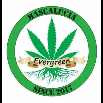 Evergreen Grow Shop