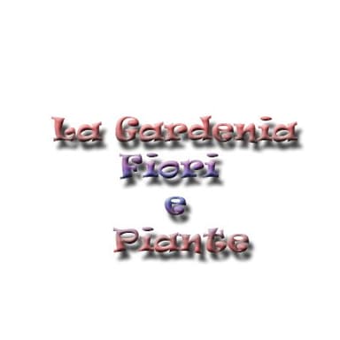 Fiori e Piante La Gardenia