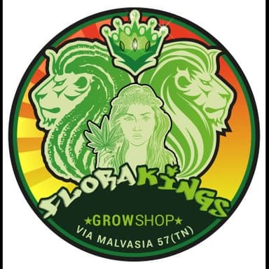 Flora Kings Grow Shop Head Shop Seed Shop Canapaio Trento