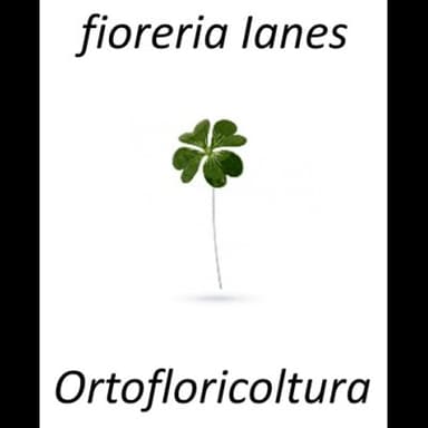 Floricoltura e Fioreria Ianes