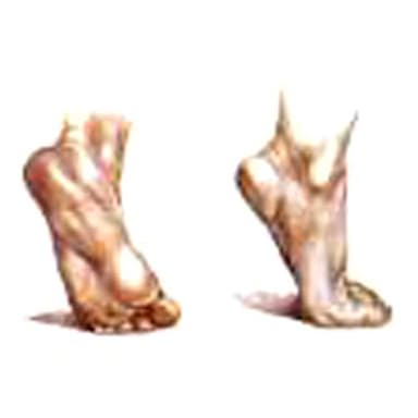 Gregori Sonia Podologo